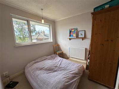 Picture 13